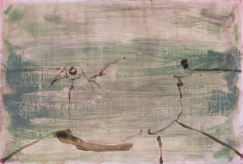 TefPeaCock